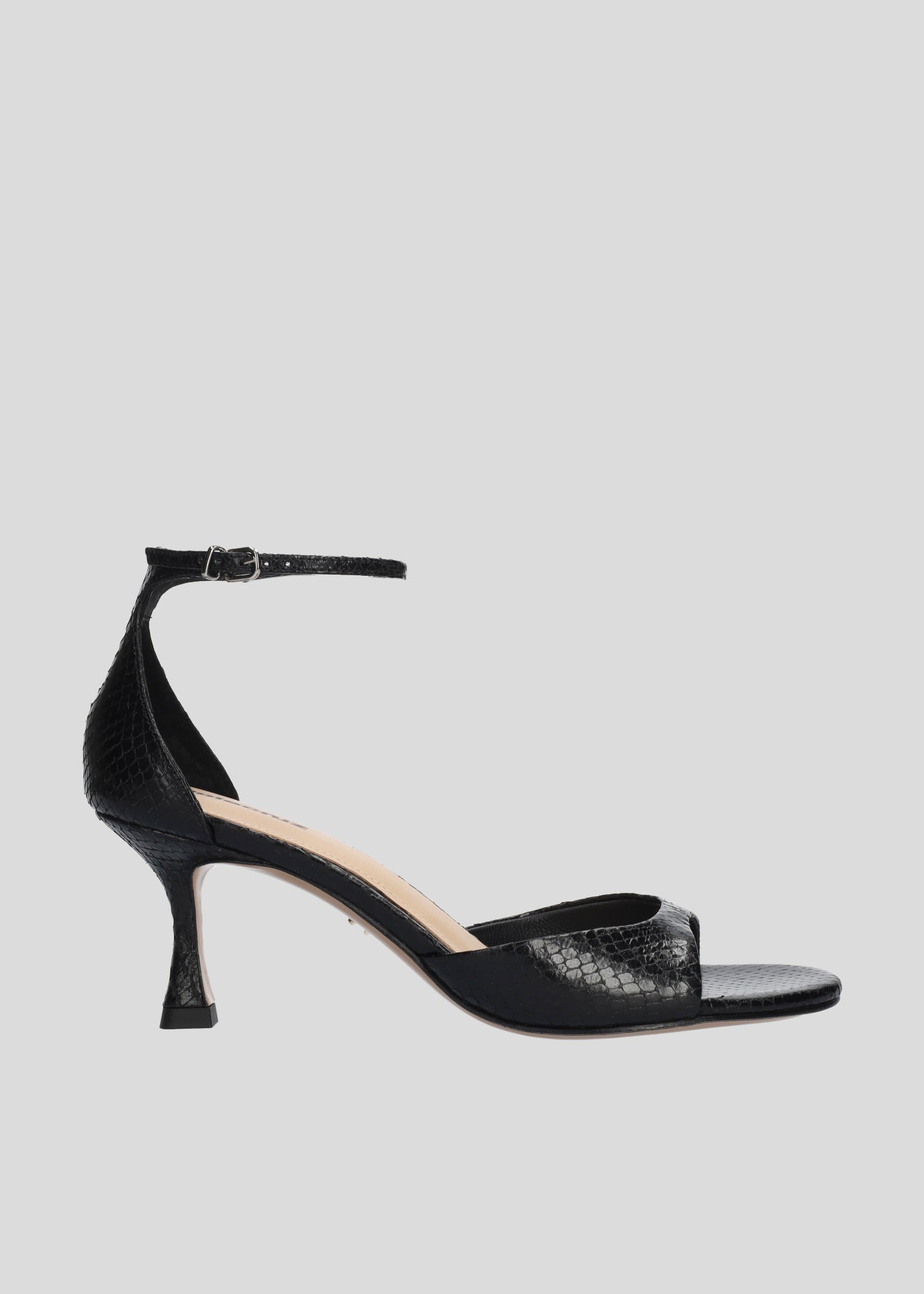 PETRINA