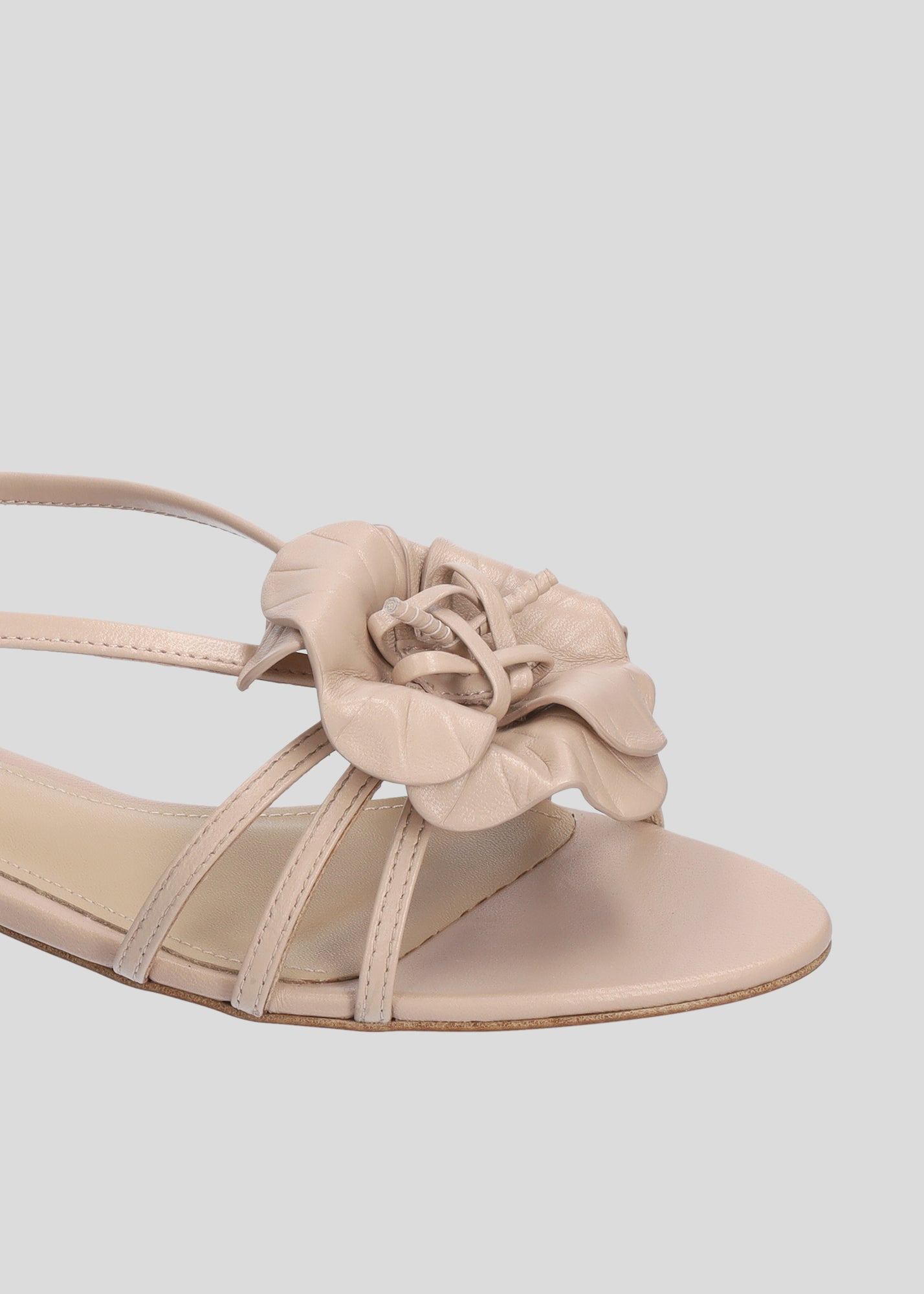 TULIPA FLATS
