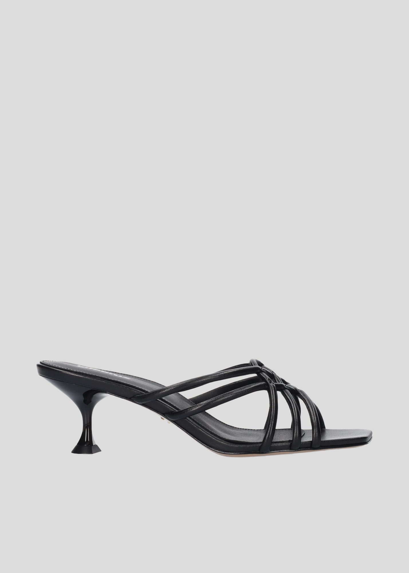 BRIDGETTE MULE 55