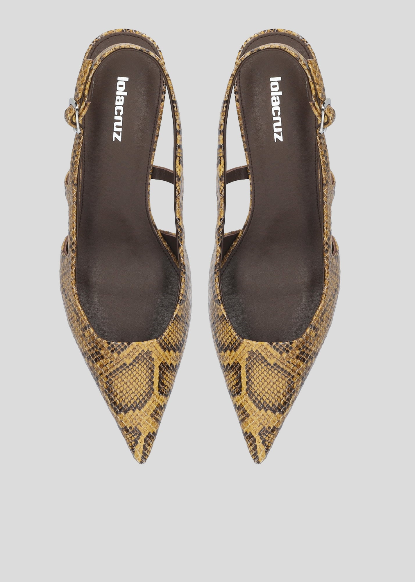 RHINA PUMP 55