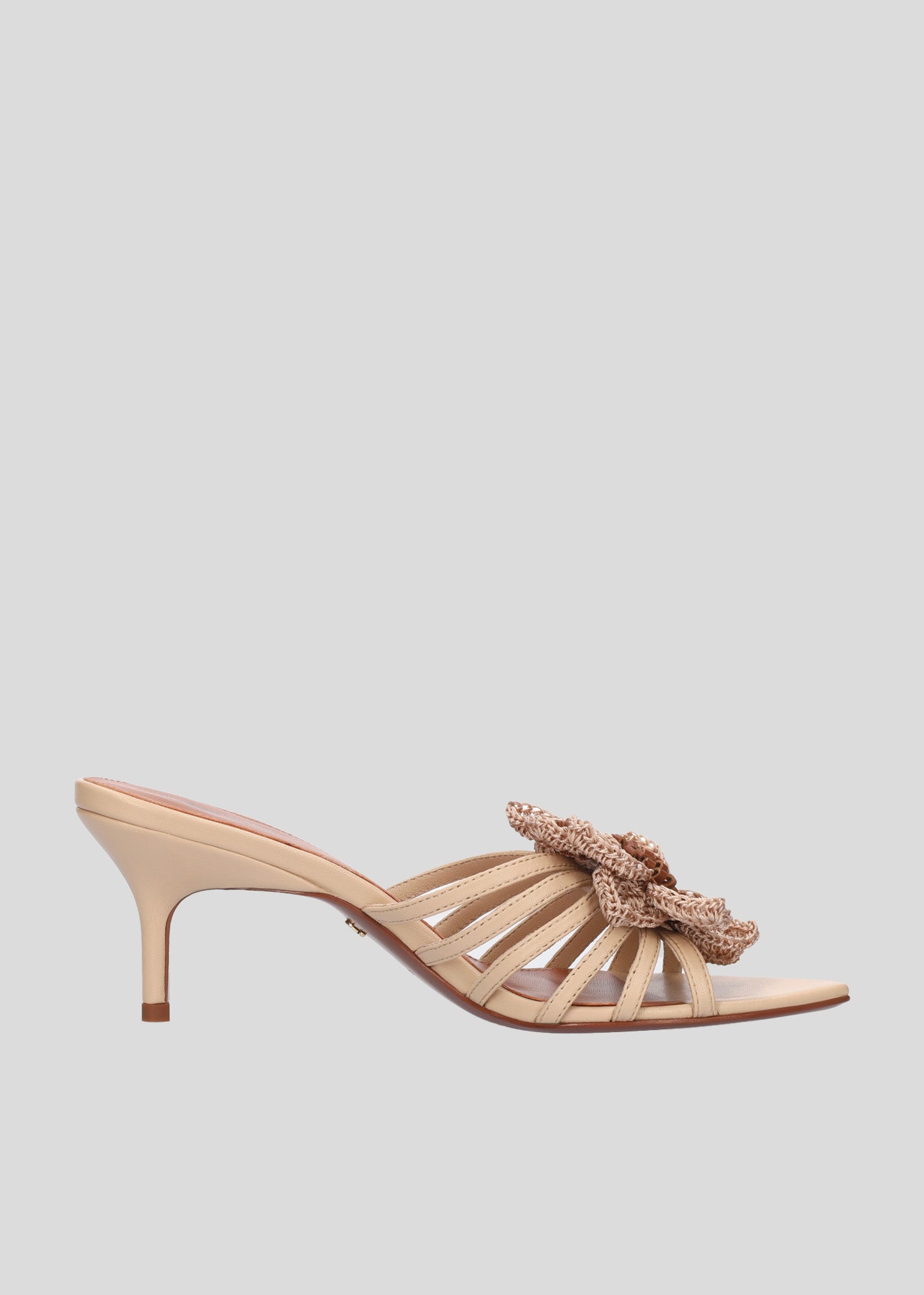 JAZMIN MULE 65