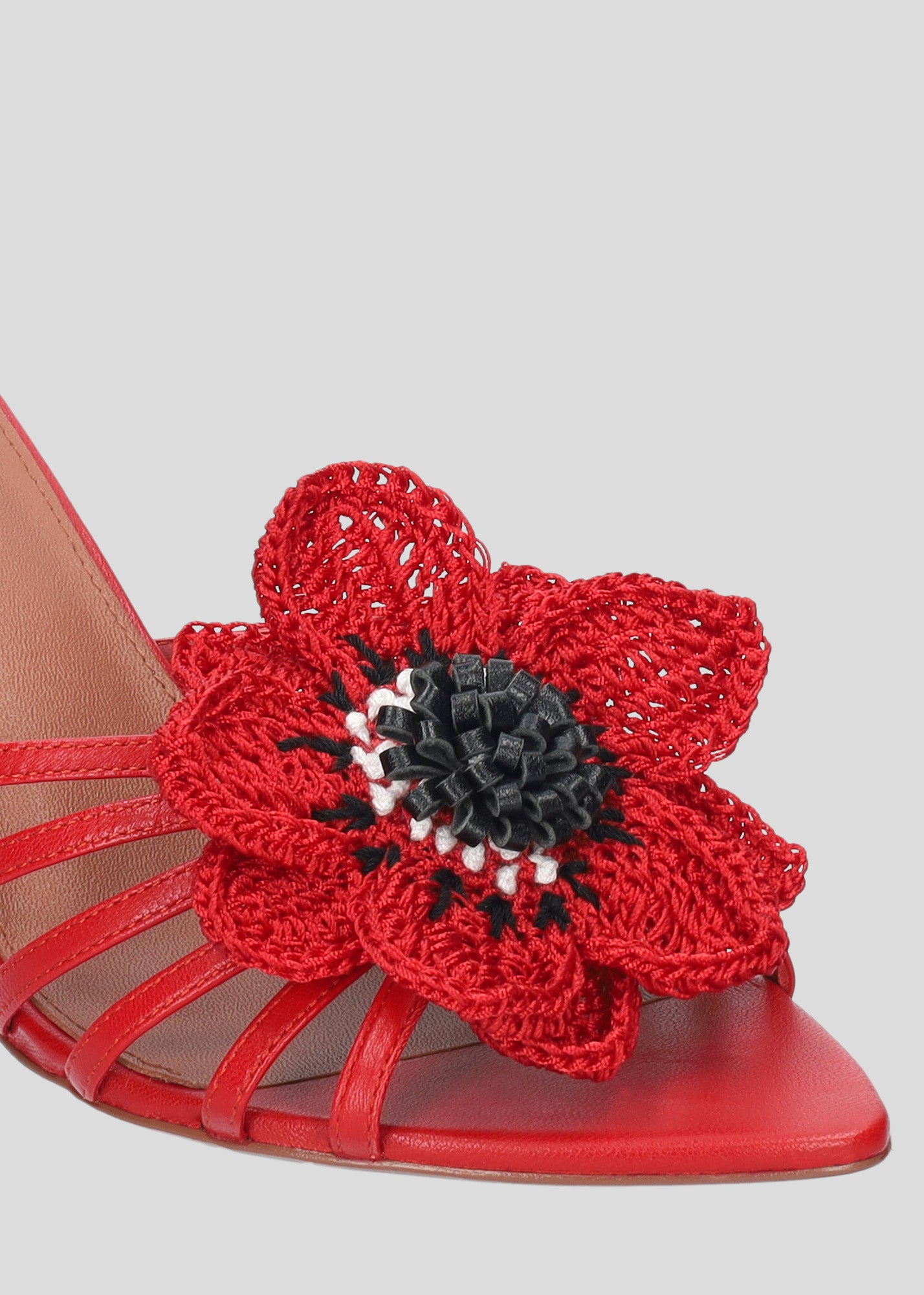 JAZMIN MULE 65