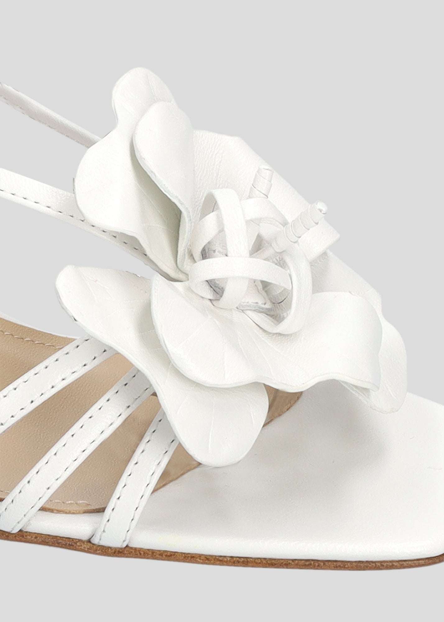 TULIPA PLATFORM 55