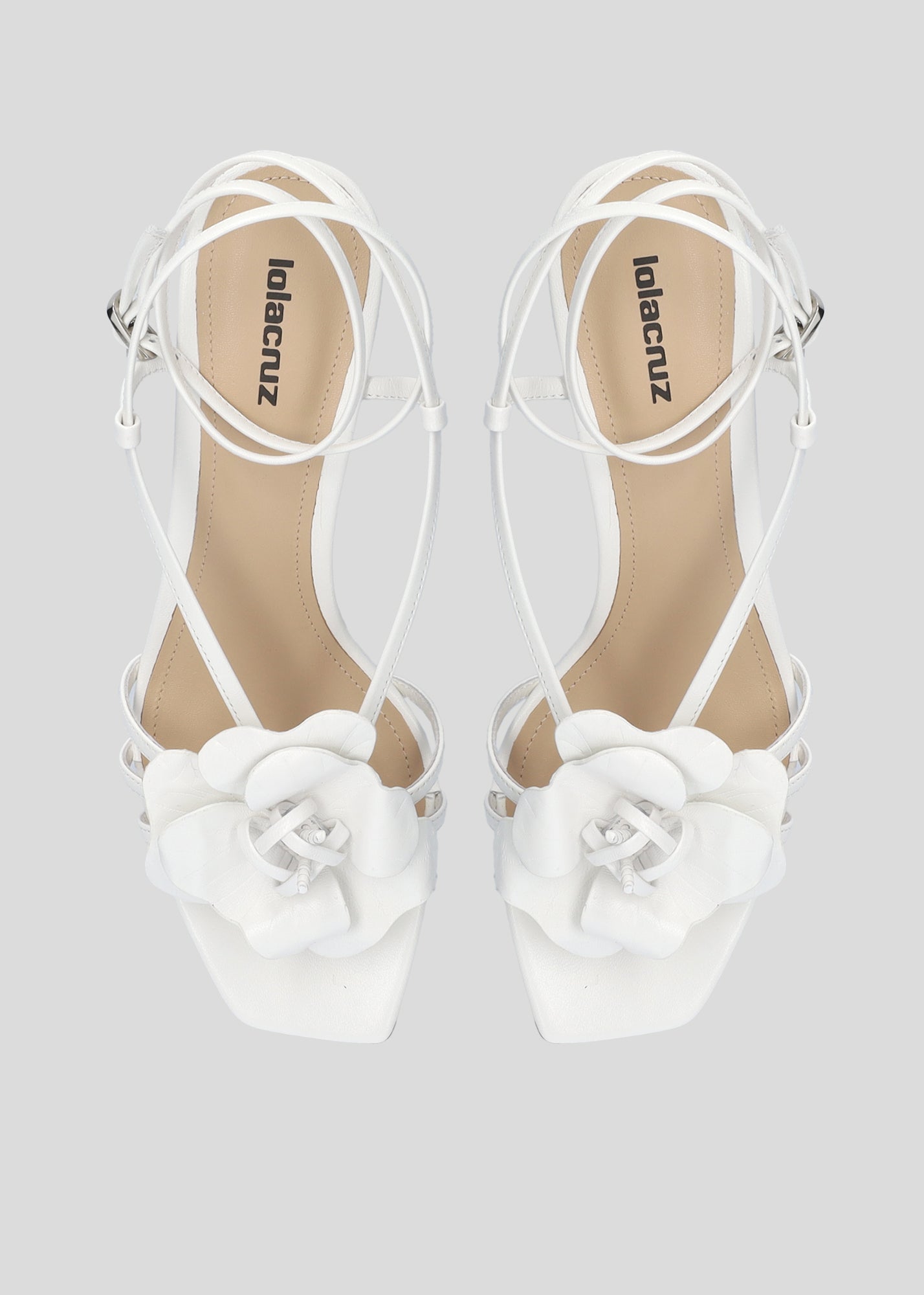 TULIPA PLATFORM 55