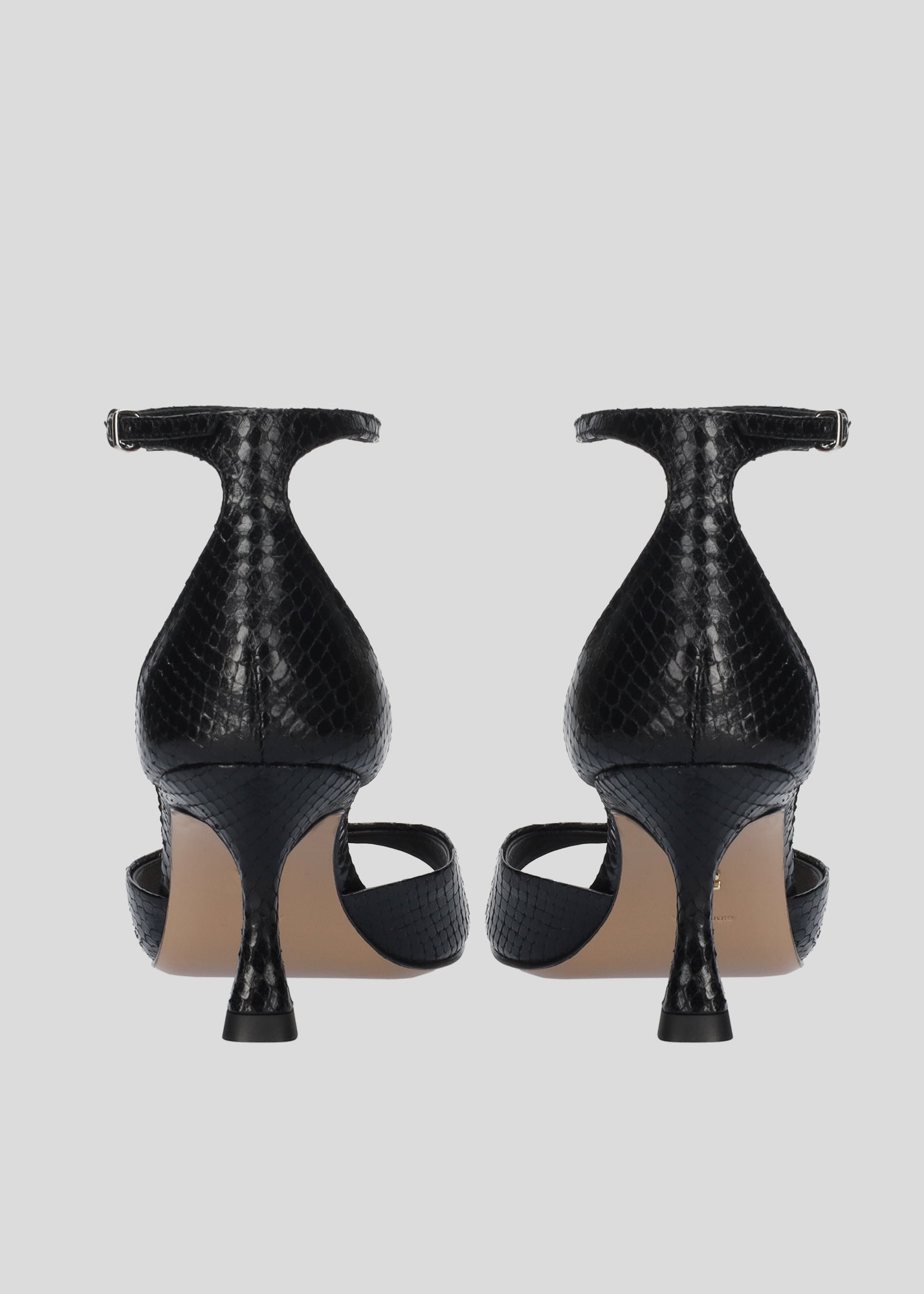 PETRINA
