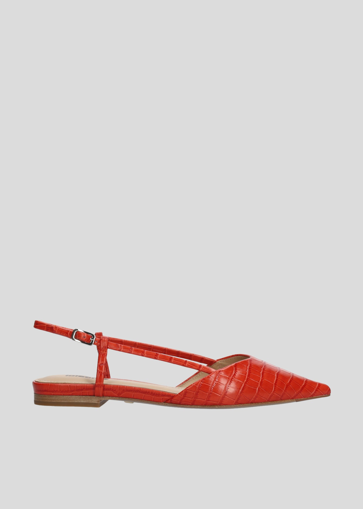 CARMEN BALLERINAS