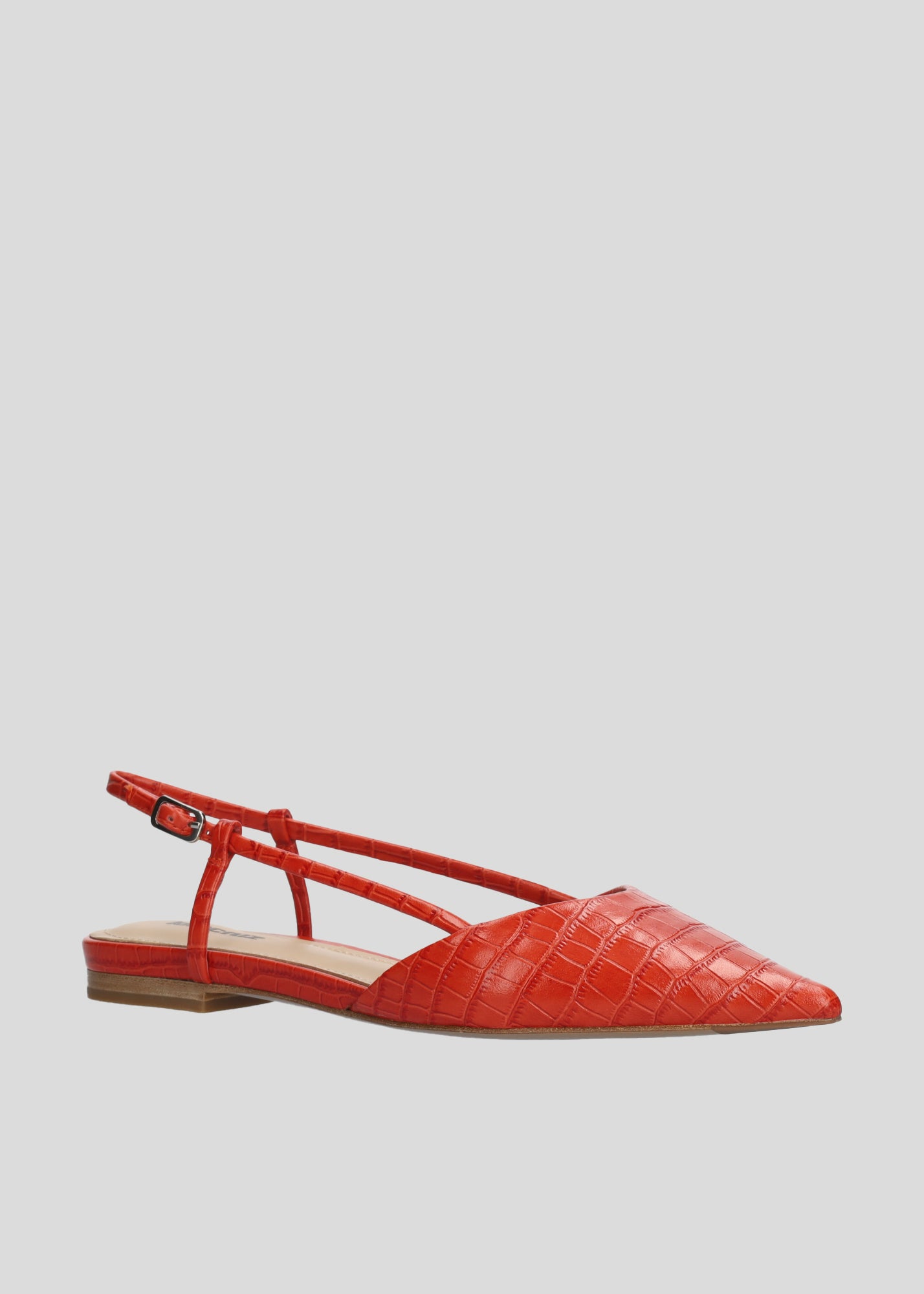 CARMEN BALLERINAS