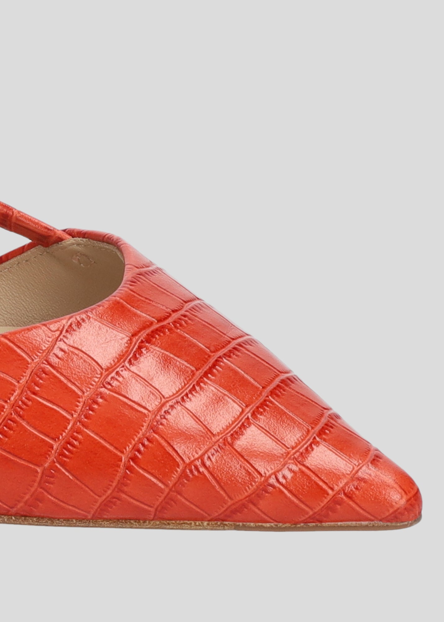 CARMEN BALLERINAS