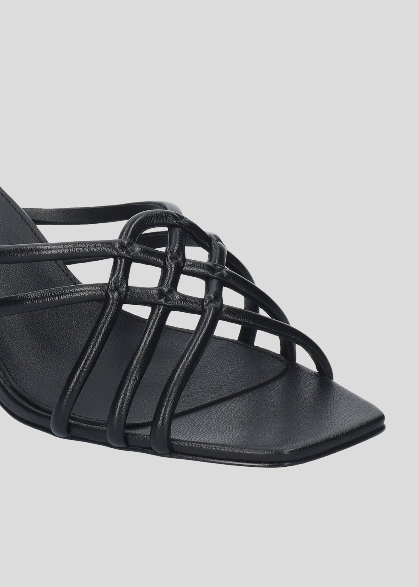 BRIDGETTE MULE 55