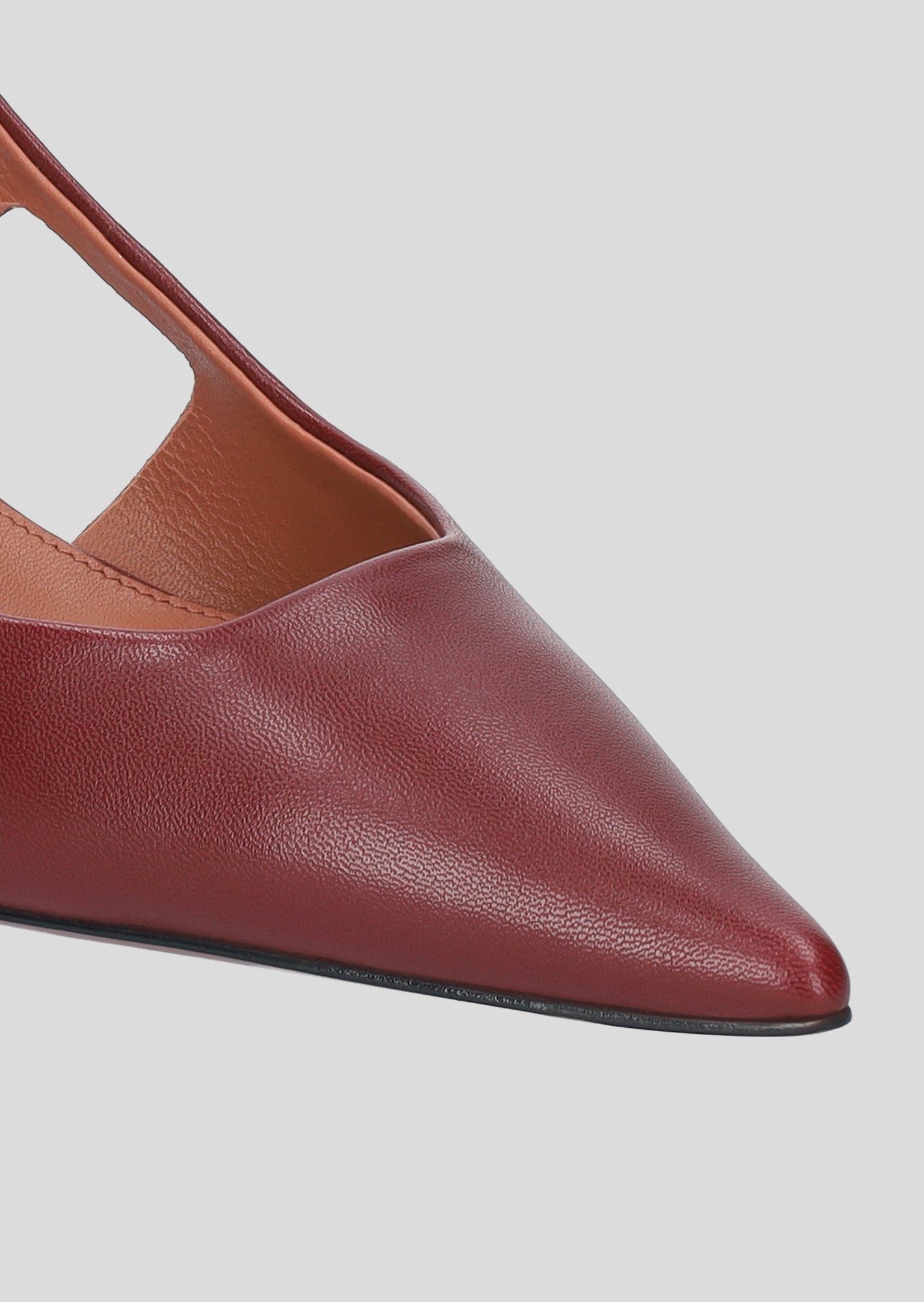 RHINA PUMP 55